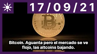 Bitcoin. Aguanta pero el mercado se ve flojo, las altcoins bajando.