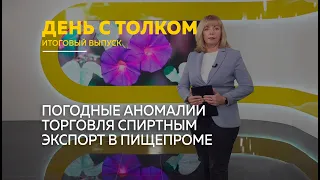 "День с Толком". 23.02.2024. Итоги недели