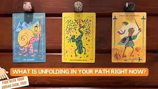 What is Unfolding in Your Path Right Now? | Timeless Reading