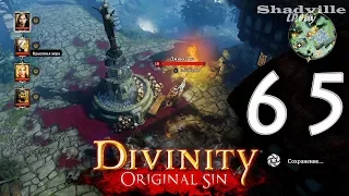 Divinity: Original Sin (PS4) Прохождение #65: Пустошь охотника