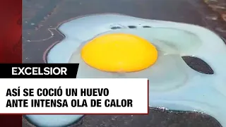 Así se coció un huevo en el pavimento ante intensa ola de calor en Veracruz