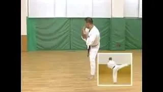 Каратэ Киокушинкай: Ката - Сейпай | Kyokushin Karate: Kata - Seipai