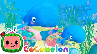 Mom and Baby Blue Whale Lullaby | Best Animal Videos for Kids | Kids Songs and Nursery Rhymes