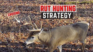 Rut Hunting Strategy