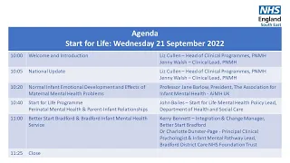 Webinar 35: Perinatal Mental Health PNMH Services; Start for Life