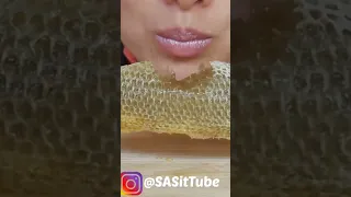 #ASMR honeycomb eating raw honey #asmreating #muckbang #sasasmr