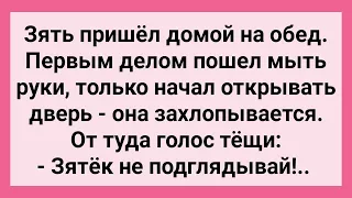 Зять Подглядел за Тещей в Ванной! Сборник Свежих Смешных Жизненных Анекдотов!