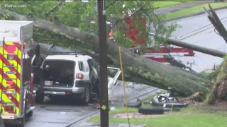 1 dead after tree falls on car in Douglas County