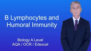 A Level Biology Revision "B Lymphocytes and Humoral Immunity"