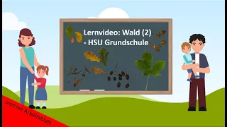 Lernvideo: Wald - Laubbäume🌳 - HSU Grundschule