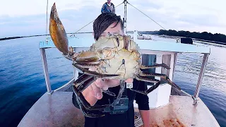 Barehanded Mud Crab Catch And Cook Feast - On A Salvaged Ex-Trawler