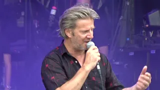 Bertrand Belin - Oiseau (Live) Paris, Rock en Seine 2023