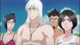 Soi Fon and Yoruichi are looking for fish