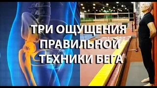 Три главных ощущения, которые дадут вам правильную технику бега.