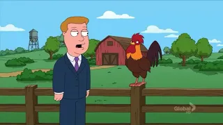 soliciting a rooster | family guy