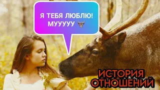 Как МЫЧАТ АЛЕНИ ? 🦌 Разбор Истории Отношений