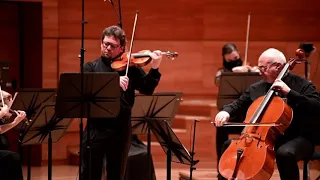 Benjamin Piano Trio plays Beethoven Triple Concerto