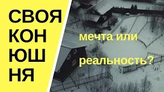 Своя конюшня- мечта или реальность?