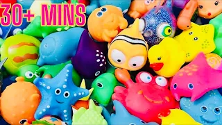 Learn Sea Animals Name, Farm Animals Name, Zoo Animals Name, Wild Animals Names, Animals for kids