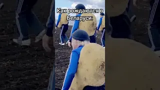 Как РОЖДАЮТСЯ В БЕЛАРУСИ