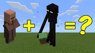 I Combined a Villager and an Enderman in Minecraft - Here's WHAT Happened...