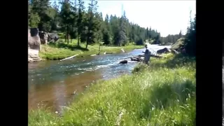 Fly Fishing Frenzy | fly fishing Yellowstone rivers and streams. Gibbon river and Madison river