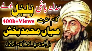 Sada Na Baghi Bulbul Bole || Kalam Mian Muhammad Bakhsh || Sufi Punjabi Kalam 2023 || Saif ul Malook