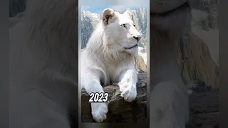 2023 white VS black lion #shorts ##