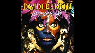 DAVID LEE ROTH - SONRISA SALVAJE, FULL ALBUM