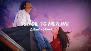 Yeh Dil To Mila Hai  Video || Slowed Reverb || #slowedreverb #lofi #reverb #slowerd