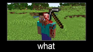 Minecraft wait what meme part 184 (very scary Steve)