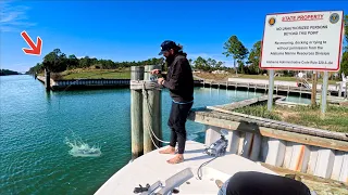 THIS State Government Marina Is Home To Giants! *New PB*