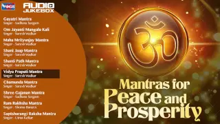 10 Mantras For Peace of Mind And Prosperity | Shiv Mantra | Shanti Mantra -Chamunda Mantra