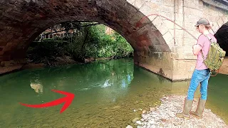 SO MANY Big Trout live under this bridge (?!?!)