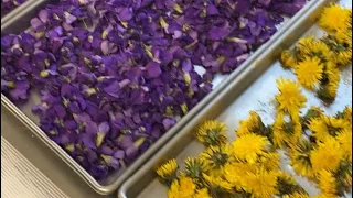 Another Use for your Freeze Dryer - Edible Flowers