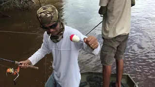 Peacock bass fishing in Suriname. Red Shiloh Suriname. Marlon Kartodikoro.