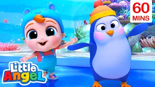 Penguin Party with Baby John | Best Animal Videos for Kids | Kids Songs and Nursery Rhymes