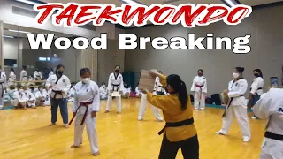 TaeKwonDo Wood Breaking ||TaeKwonDo || Martial Arts #satisfying #asmr #taekwondo