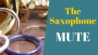 Saxophone Mute