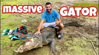 CATCHING GIANT ALLIGATORS FOR NEW HOME! *AMAZING*