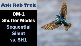OM System OM-1 Shutter Modes: Silent Sequential vs SH1 vs SH1 ep.462
