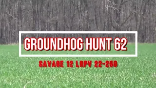 Groundhog Hunt 62 Savage 12 lrpv 22 250