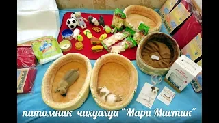 ВСЁ НЕОБХОДИМОЕ ДЛЯ СОДЕРЖАНИЯ  ЧИХУАХУА #ПРОДАЮШЕНКАЧИХУА( ПИТОМНИК "МАРИ МИСТИК" )