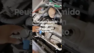 Peugeot sumindo água sem vazamento