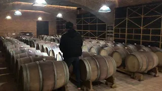 Грузинское вино. «Золотой запас» в дубовых бочках