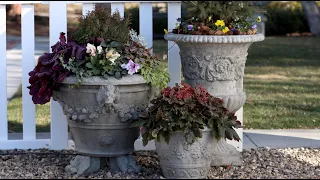 Tough Plants for Early Spring Containers! 💪🌿💚// Garden Answer