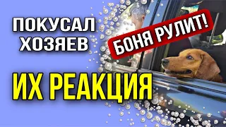 Пес-инвалид покусал хозяев во время знакомства. Их реакция оказалась неожиданной...