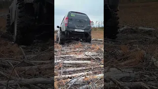 Хорошо идёт,будут видео с болот. #2023 #4x4 #offroad #suzuki #vitara #grandvitara #shorts #болото