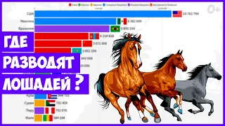 Horse Breeding Country Statistics (1961-2019)