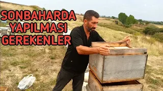 Sonbaharda Yapılması Gerekenler | Arıya Hangi Bakımlar Yapılmalı Uygulamalı Anlatım ne fayda